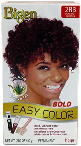 Bigen Easy Color Hair Color 2.82 oz