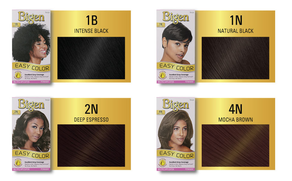 Bigen Easy Color Hair Color 2.82 oz