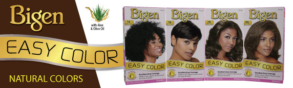 Bigen Easy Color Hair Color 2.82 oz